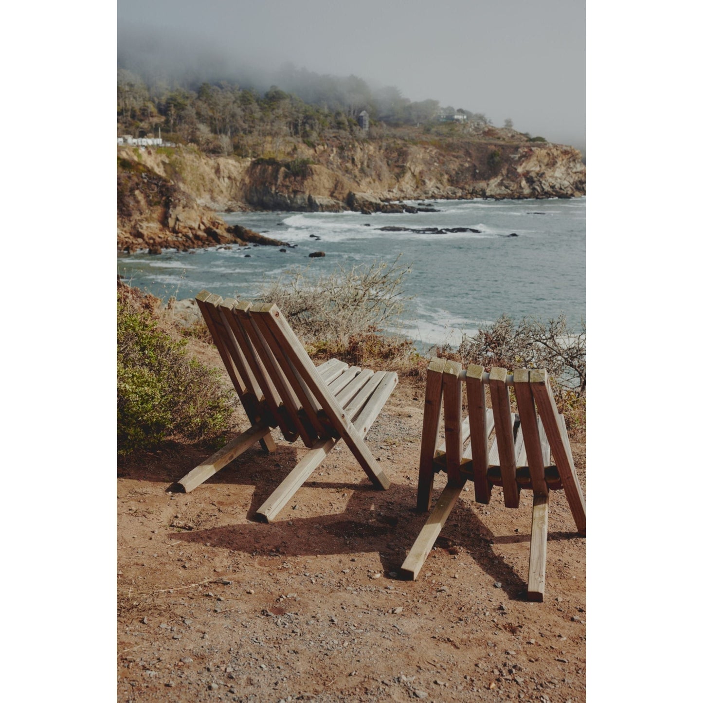 Summer Dreams, Walking on Venice Beach Sauvignon Blanc 2022 Wine