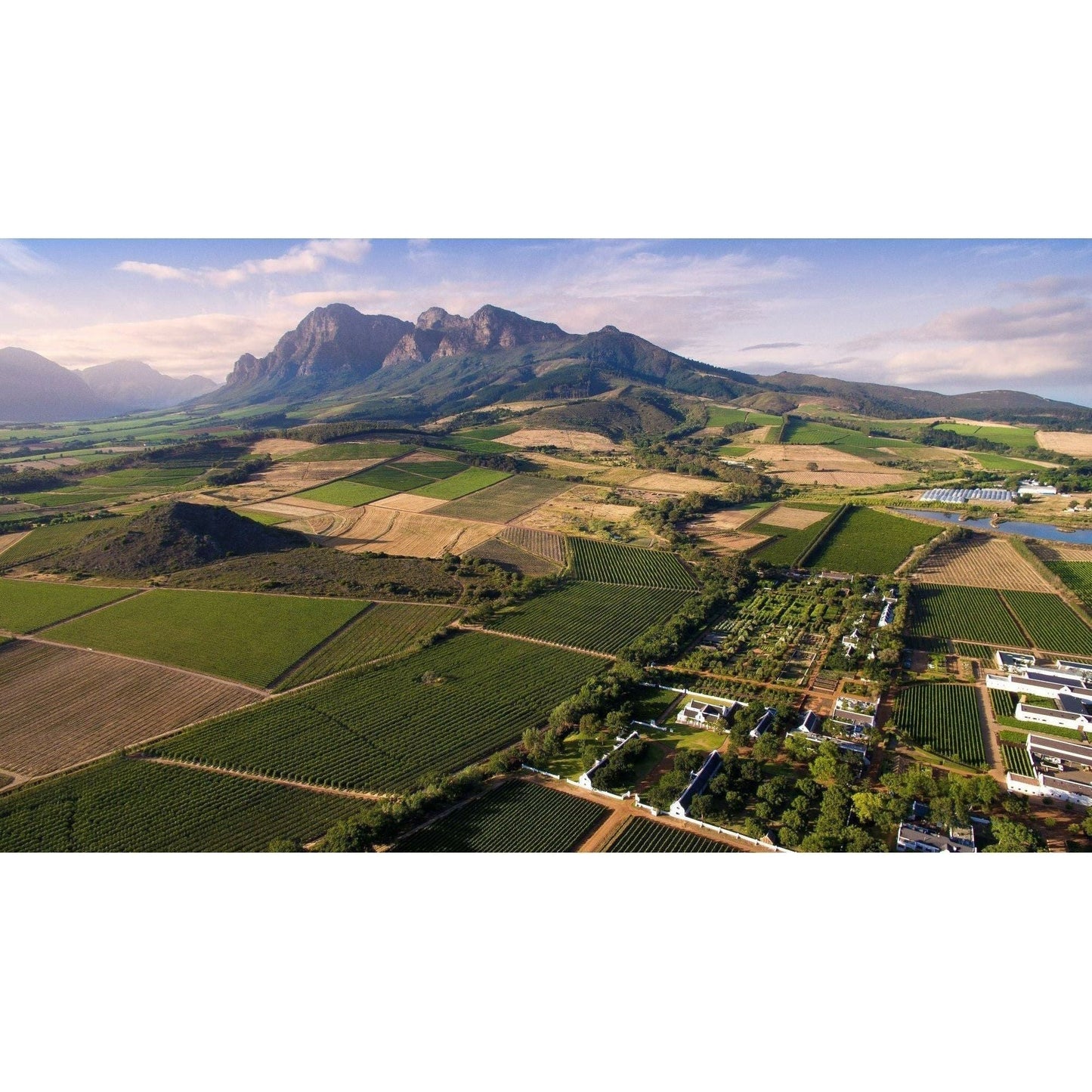 Babylonstoren Wine Tasting - Friday 27th September 7-9 pm