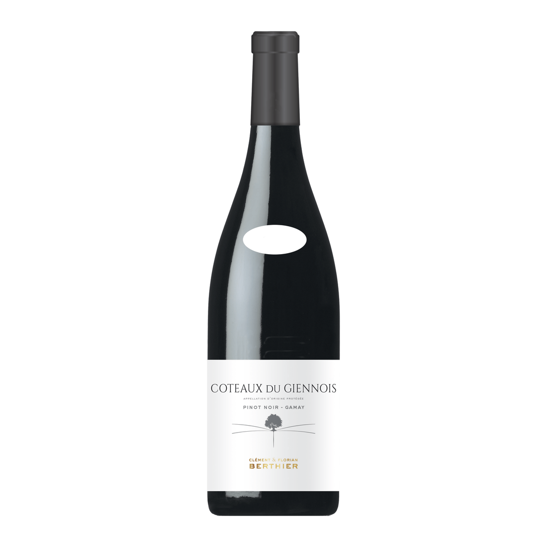 Clement & Florian Berthier Coteaux du Giennois – Loire Valley, France