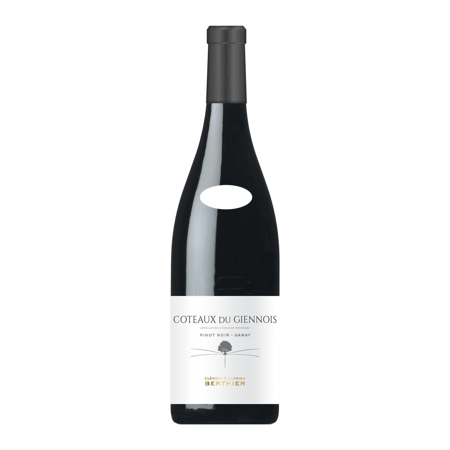 Clement & Florian Berthier Coteaux Du Giennois Wine