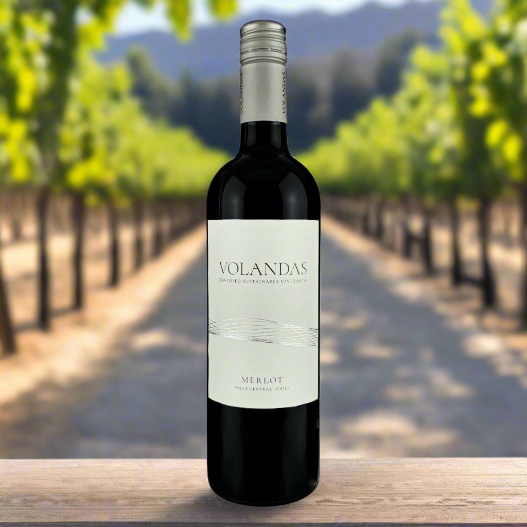 Volandas Merlot bottle in a Chilean vineyard