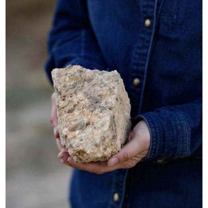 Summer Dreams, The Sun Also Rise Chardonnay 2022 Wine