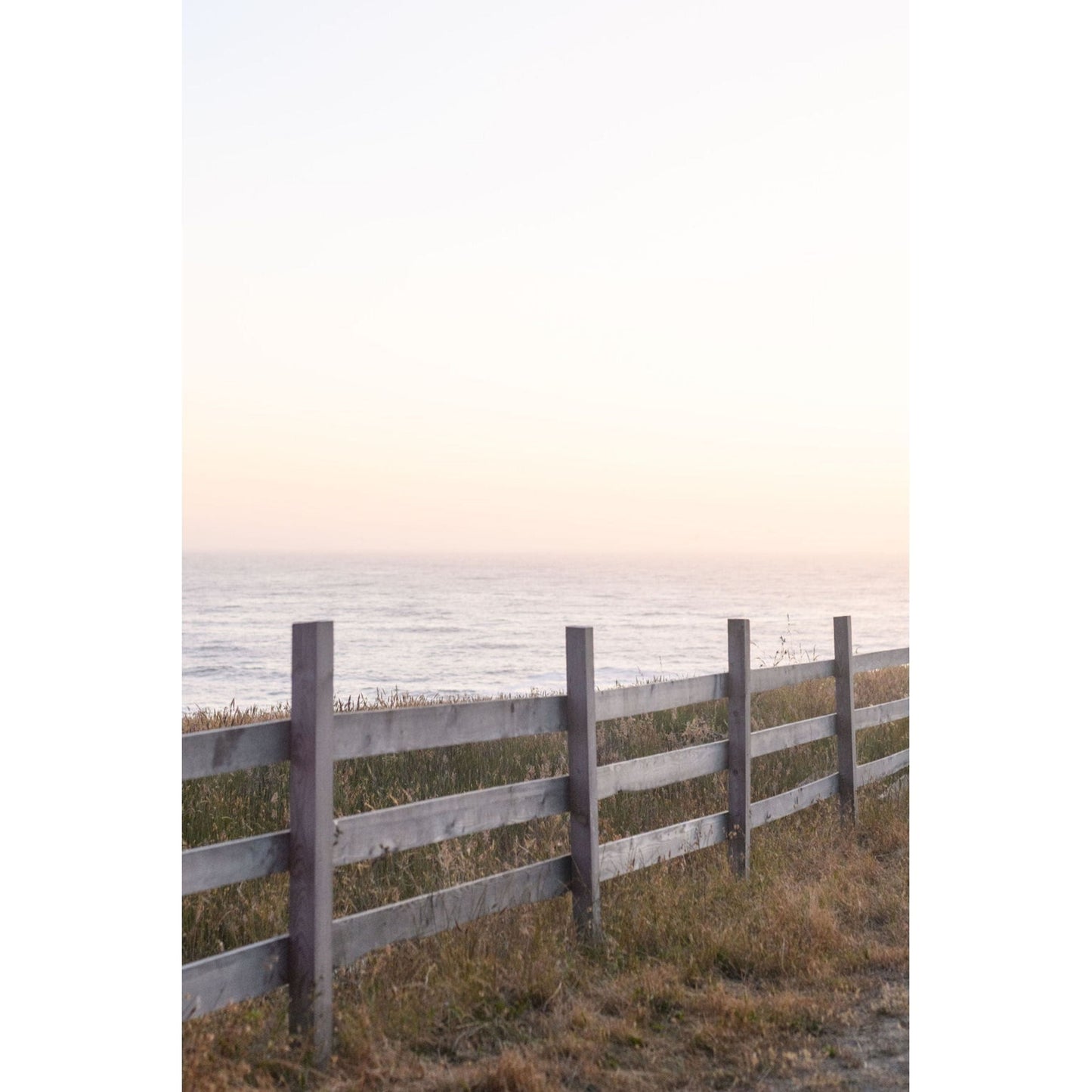 Summer Dreams, Walking on Venice Beach Sauvignon Blanc 2022 Wine