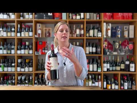 Video tasting notes and food pairing guide for Doppio Passo Primitivo IGT Puglia red wine.