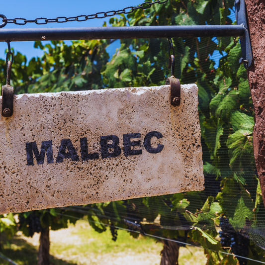 Malbec World Day - 17th April 2025