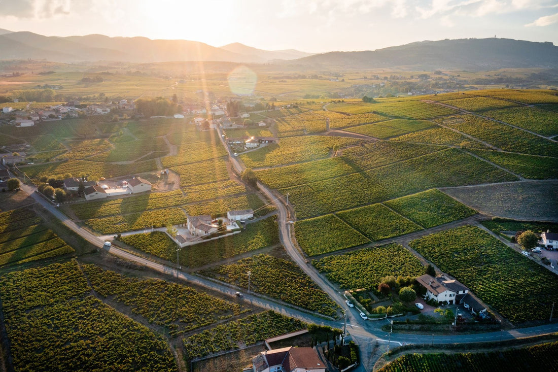 Aerial view of vineyards at golden hour in Villie-Morgon, in the heart of Beaujolais, France