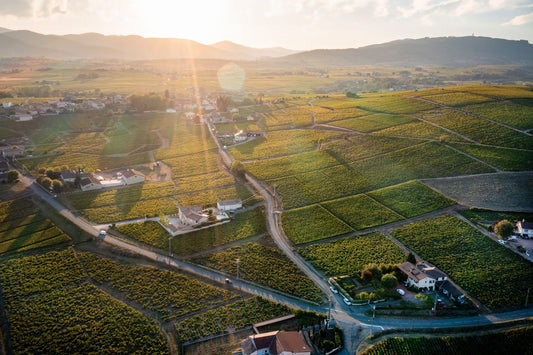 Aerial view of vineyards at golden hour in Villie-Morgon, in the heart of Beaujolais, France