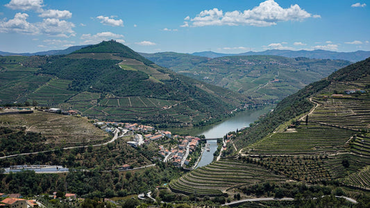 Terraced vineyards of the Douro Valley, Portugal