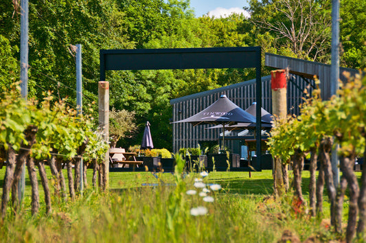 Introducing Tinwood Estate
