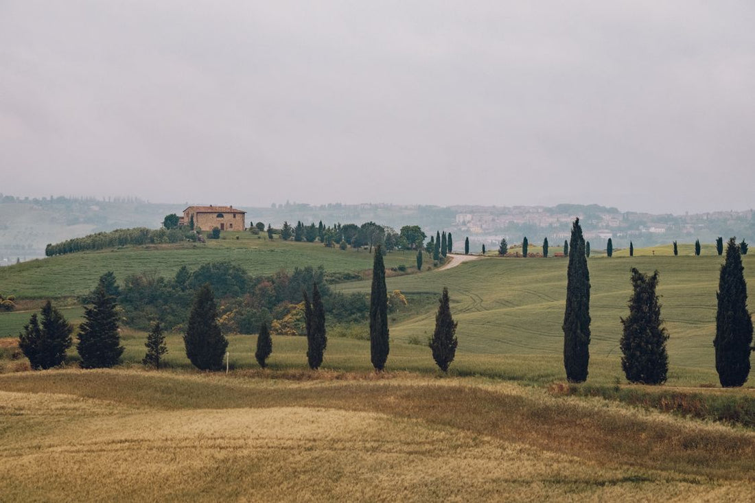Tuscany countryside with cypress trees and rolling hills