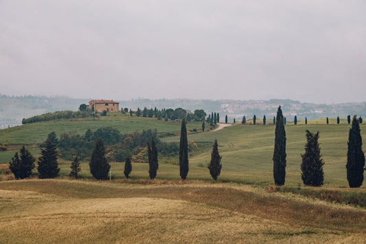 Tuscany countryside with cypress trees and rolling hills