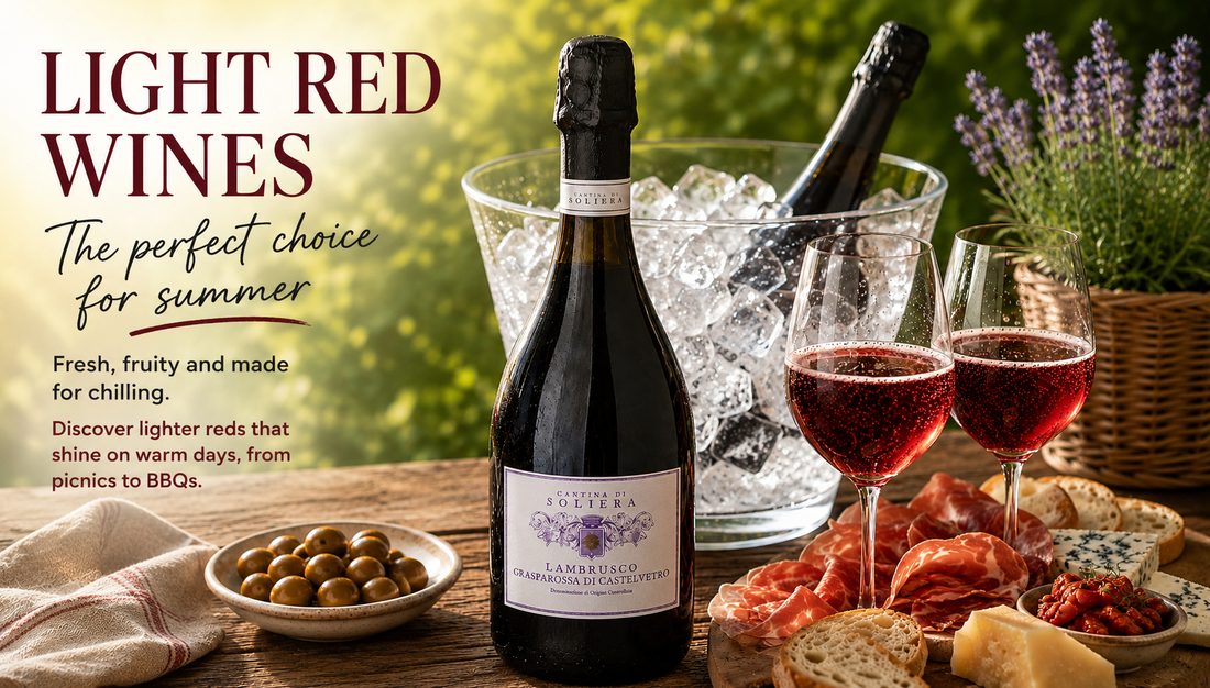 Light Red Wines for Summer - chilled Lambrusco with charcuterie, ice bucket and picnic spread in a sunny garden setting.