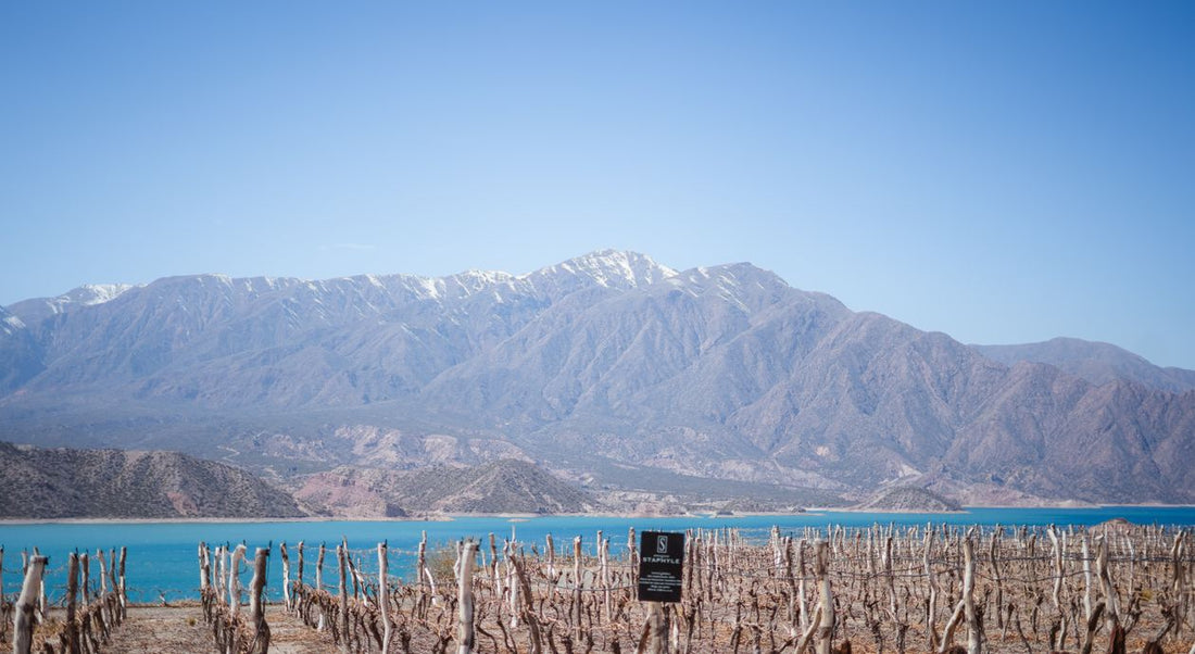 The dramatic Andes mountains above Potrerillos, Mendoza — the homeland of Argentine Malbec