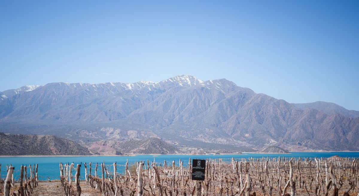 The dramatic Andes mountains above Potrerillos, Mendoza — the homeland of Argentine Malbec