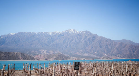 The dramatic Andes mountains above Potrerillos, Mendoza — the homeland of Argentine Malbec