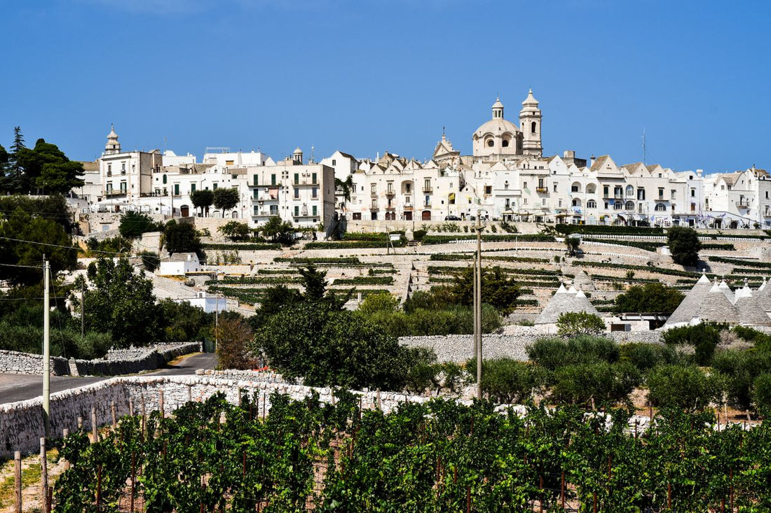 Locorotondo village with vineyards and trulli houses in Puglia, southern Italy