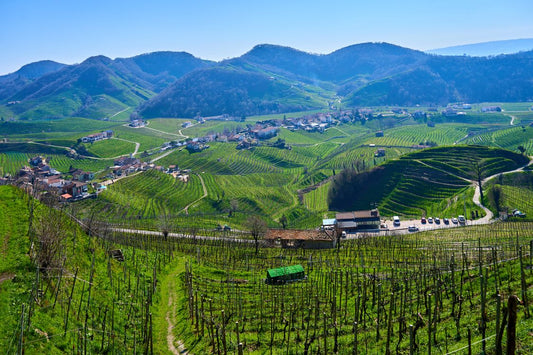 Rolling vineyard hills of the Veneto, Italy