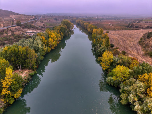 Autumn river scene in La Rioja wine region, Spain, with vineyard hills and golden trees