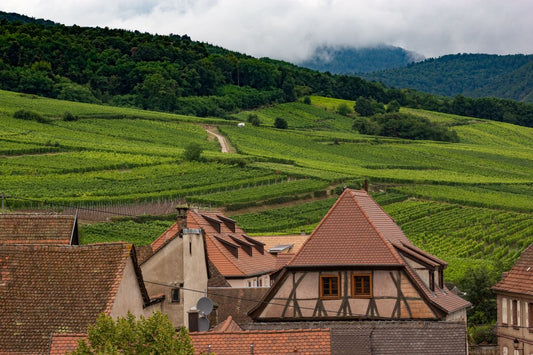 An Alsace village set among vineyard-covered hillsides in northern France