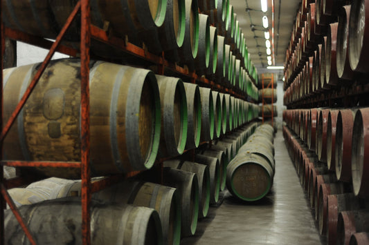 Wine barrels ageing in rows inside a traditional Spanish bodega wine cellar