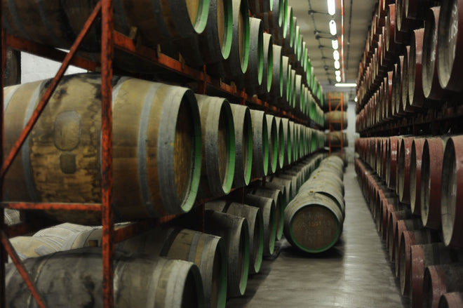 Fino & Manzanilla Sherry: The Ultimate Guide to Spain’s Refreshing Summer Wines