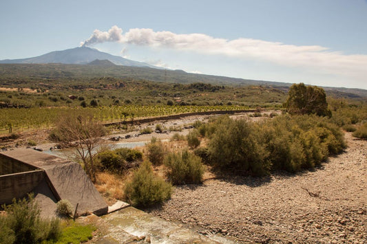 Scenic Sicilian countryside with Mount Etna visible in the distance