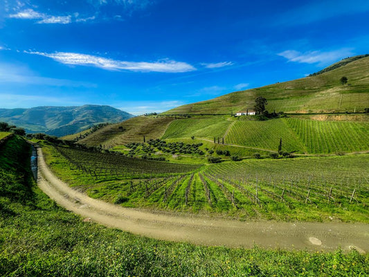 Sun-drenched Sicilian countryside under a blue summer sky