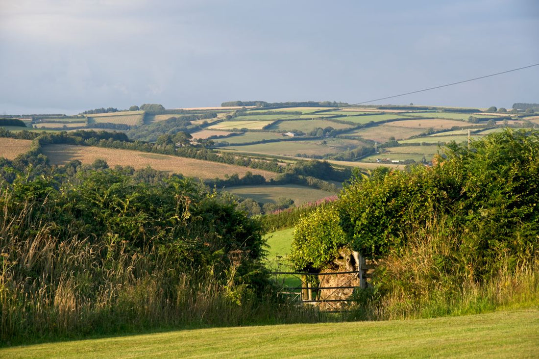 Rolling hills and green fields of Somerset