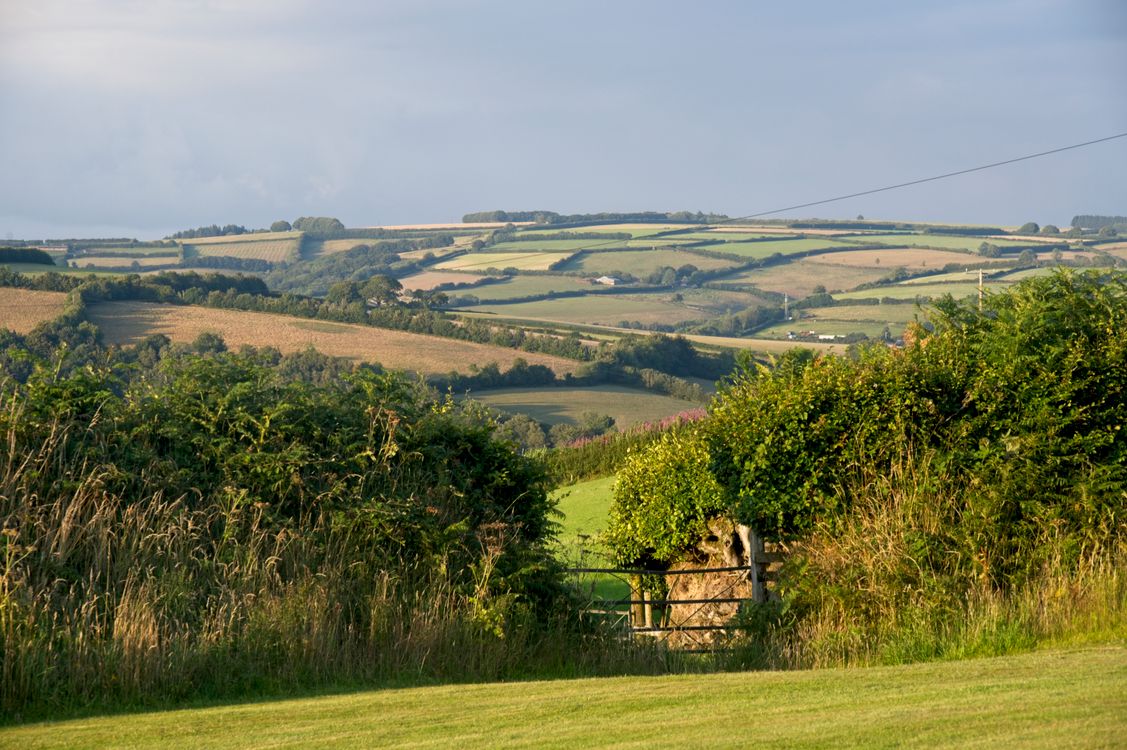 Rolling hills and green fields of Somerset