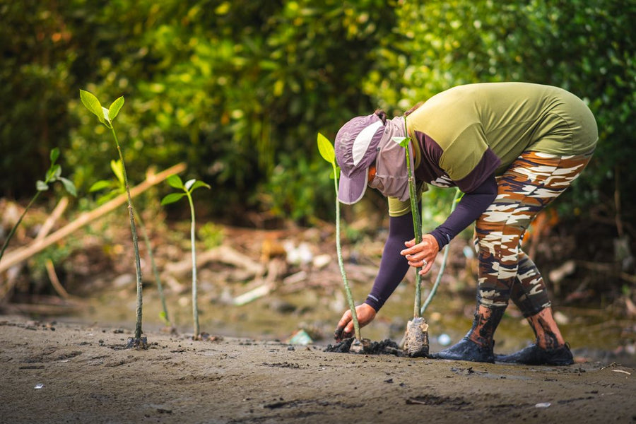 We plant a tree for every order