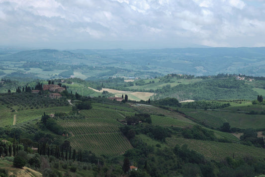 Aerial view of rolling Tuscany countryside with cypress trees and vineyards