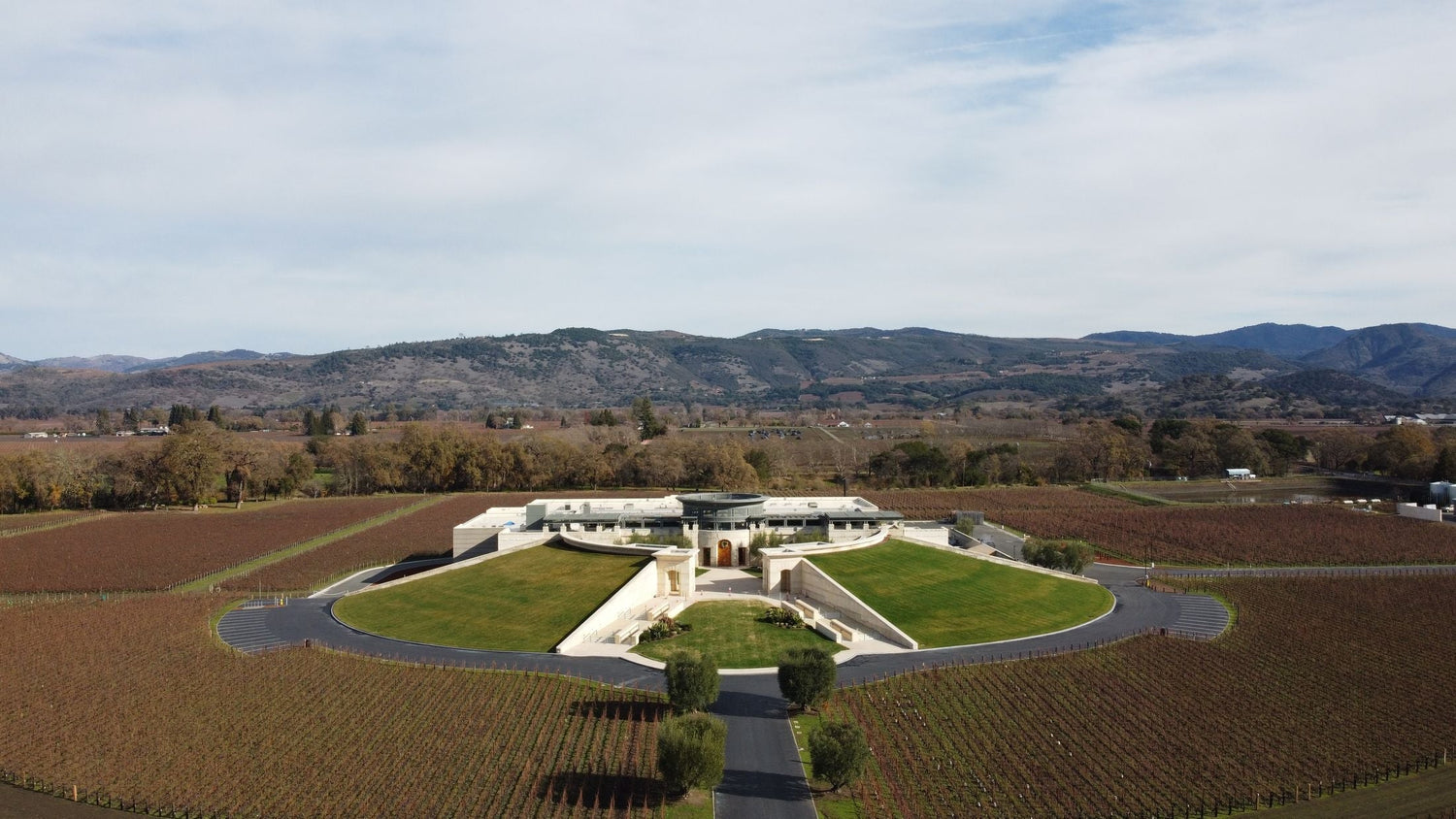 Grand modern winery estate surrounded by ordered vineyard rows with mountain backdrop — Amoterra