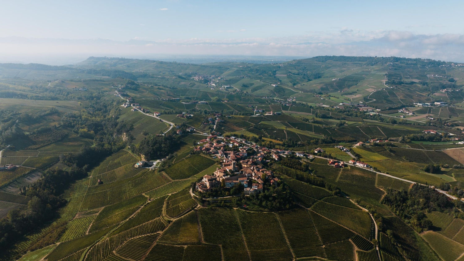Aerial view of a medieval hill village surrounded by vineyard rows on rolling Italian slopes — Ananto