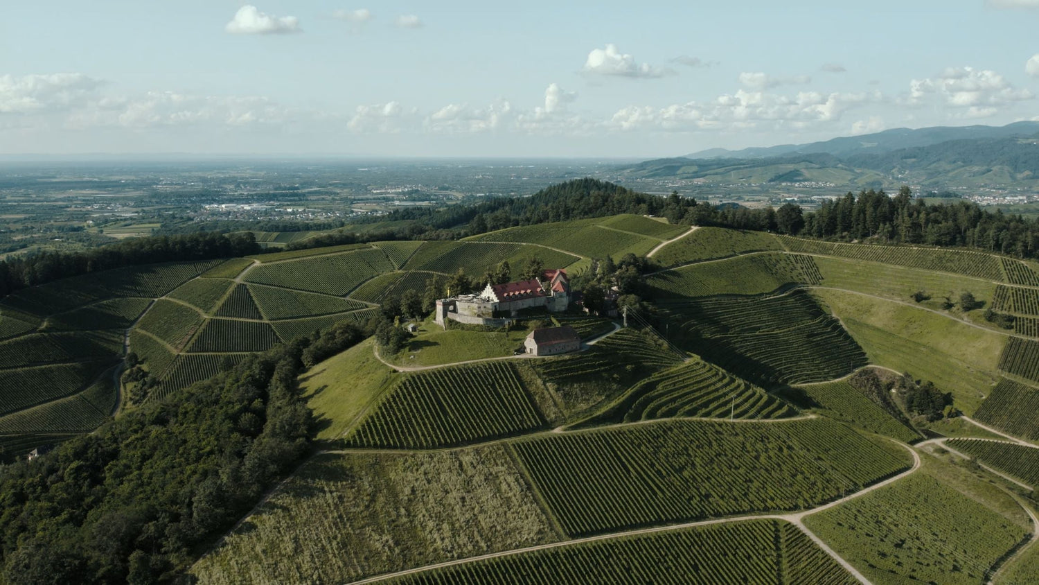 Aerial view of a medieval hilltop castle surrounded by vineyard-clad hills in the Alsace wine region, France — Arthur Metz