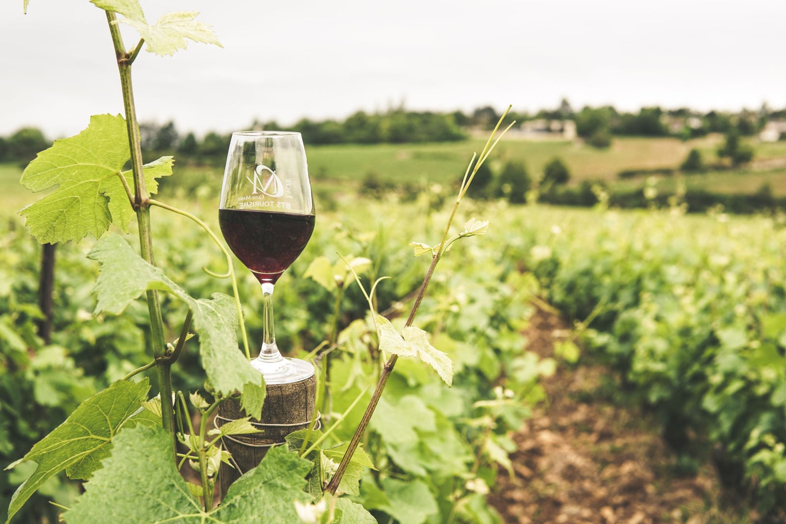 Babylonstoren