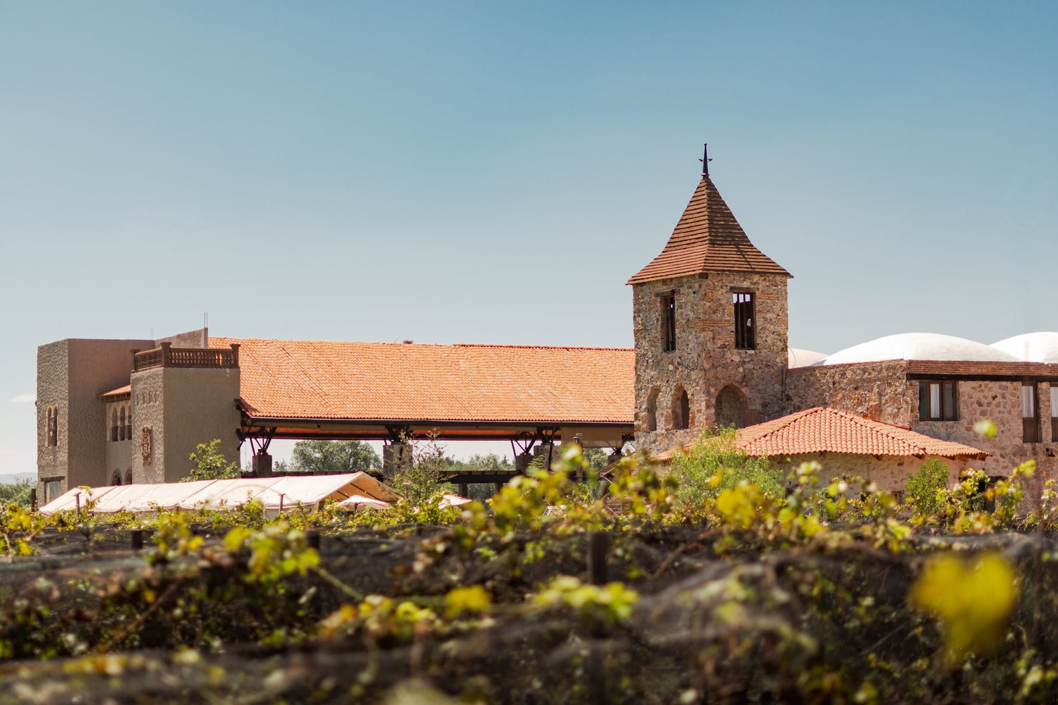 Medieval stone castle-winery with conical tower and orange-tiled roofs, vineyards in the foreground — Barão de Vilar