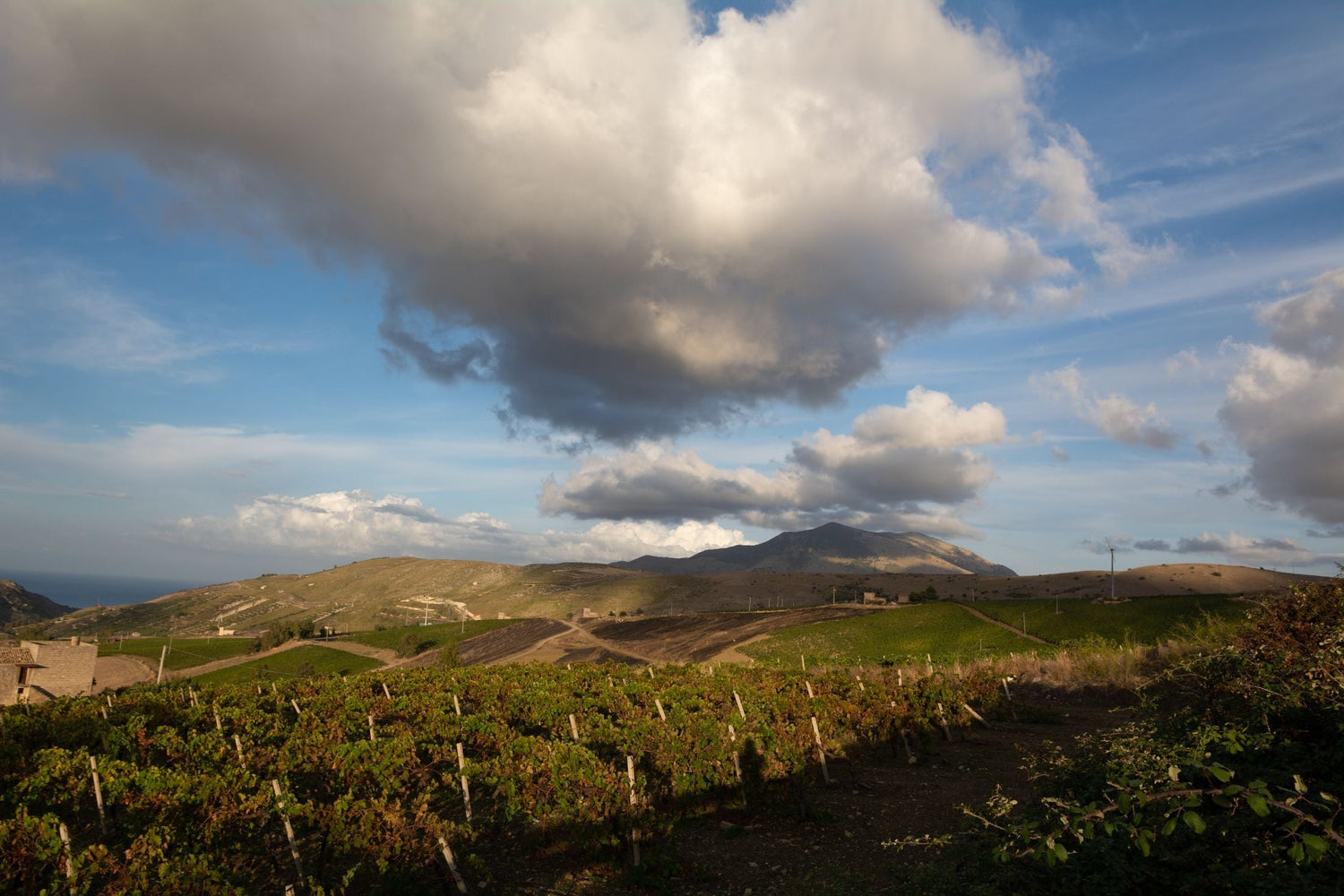 Rolling vineyard hills beneath a dramatic cloudscape with bare mountains in the distance — Barbadillo, Andalusia
