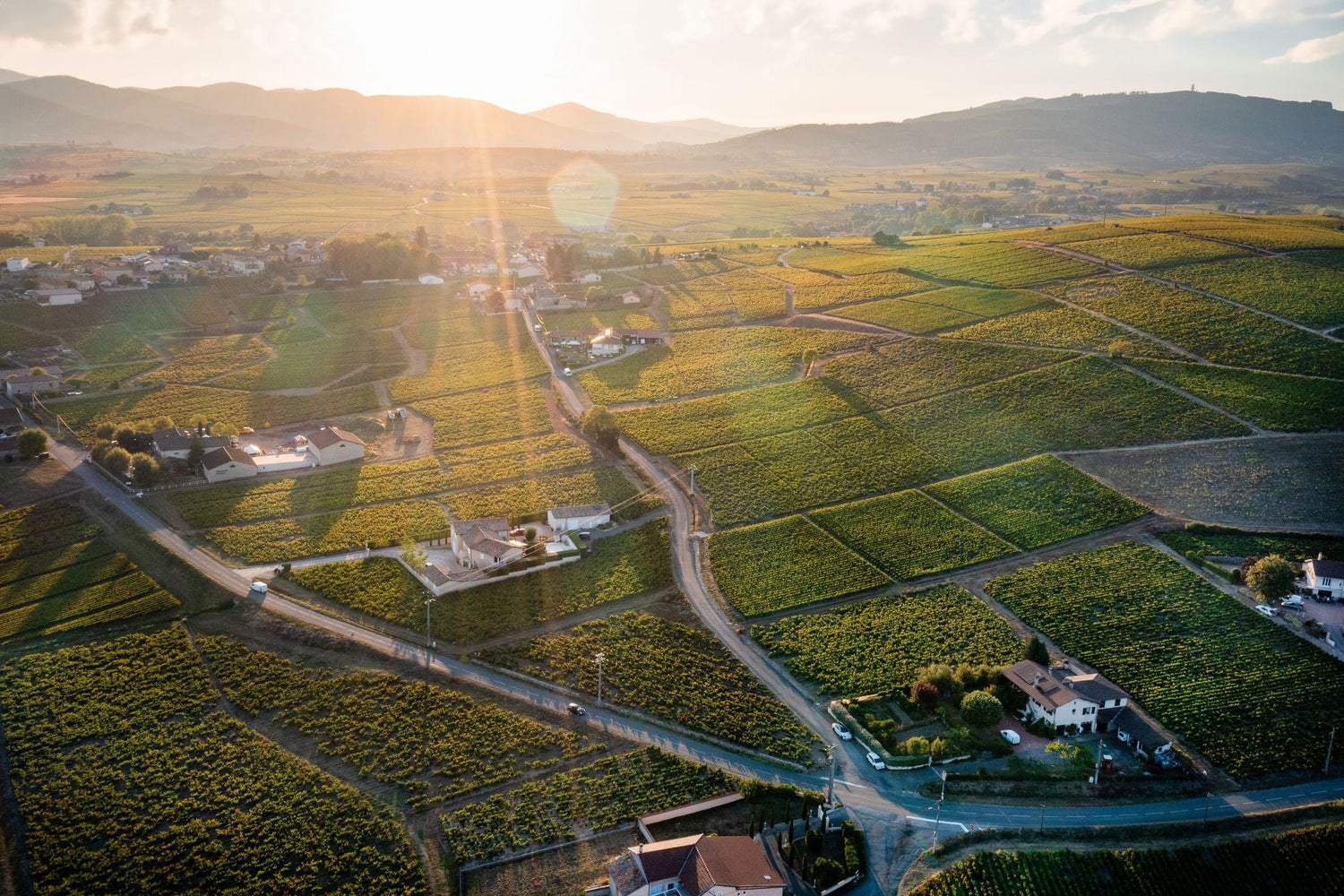 Aerial sunset view over patchwork vineyard plots and village rooftops in Beaujolais, southern Burgundy, France