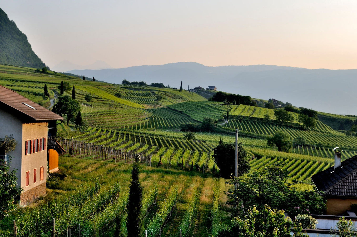 Terraced vineyard hillsides with a traditional farmhouse at dusk, layered mountain ridges beyond — Bodegas El Coto, Rioja, Spain