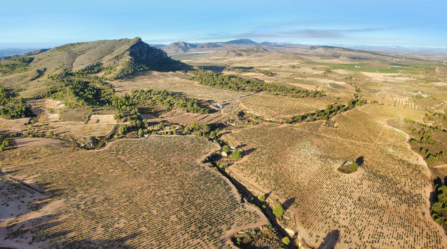 Aerial view of arid rocky scrubland vineyard landscape, Bodegas Juan Gil, Jumilla, Murcia, Spain. Photo: Malegaetan (CC BY-SA 4.0)