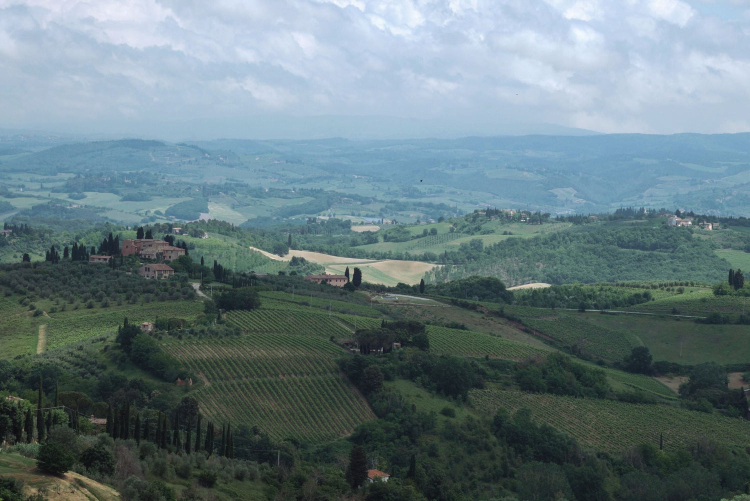 Rolling green hills with cypress trees and terracotta-roofed villas in wine country, Bodegas Luzón, Spain