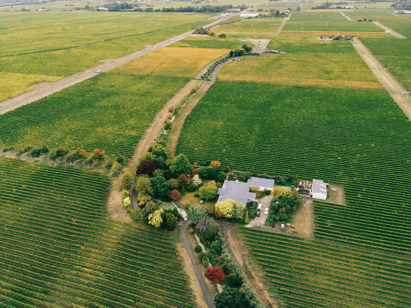 Brennan Wines