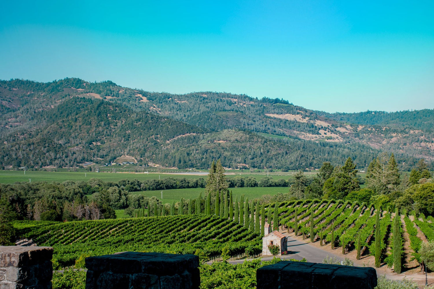 Napa Valley winery estate with cypress-lined driveway, chapel and vineyard rows in a green mountain valley, California