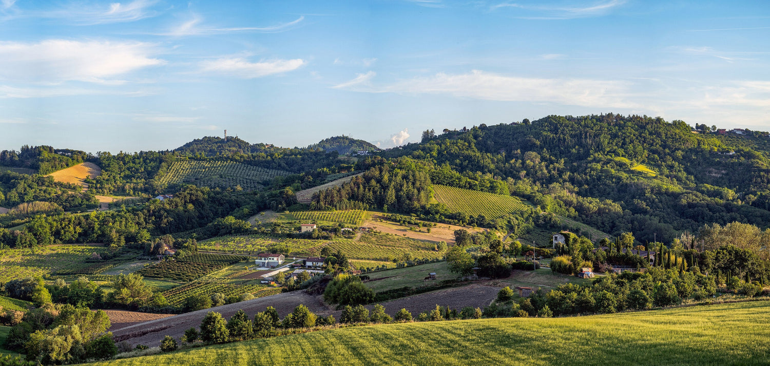 Panoramic summer view of rolling hills with vineyards, orchards and farmhouses, Cantina di Soliera, Emilia-Romagna, Italy. Photo: Terragio67 (CC BY-SA 4.0)