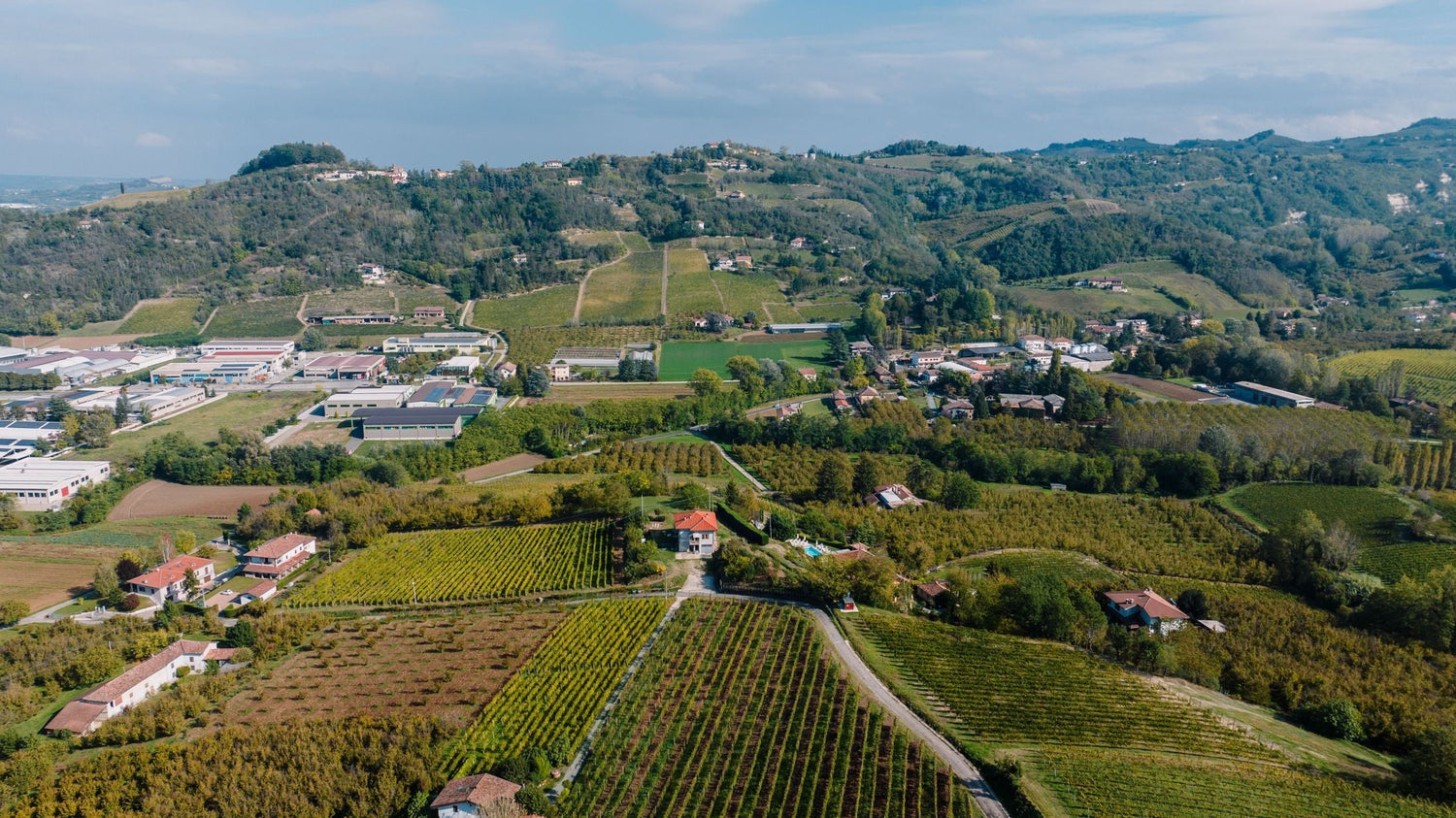 Aerial view of vineyard parcels interspersed with farm buildings across rolling wooded Piedmont hills, Cantine Volpi, Italy