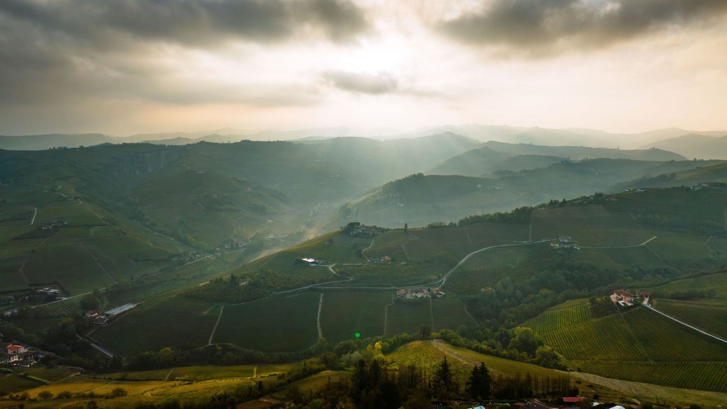 Dramatic misty Piedmont hillside with sweeping vineyard-covered slopes and sunlight breaking through storm clouds, Cari Saluti, Italy