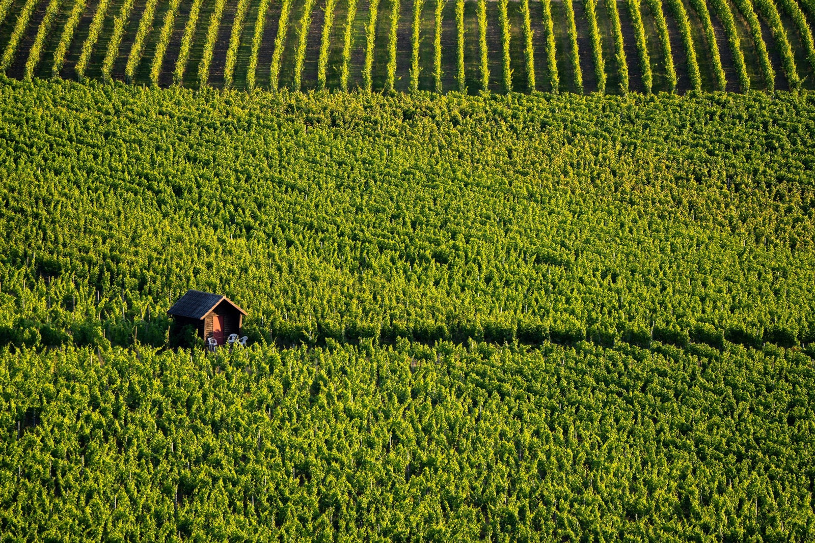 Central Otago