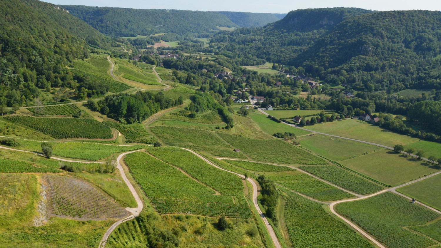 Aerial view of terraced vineyard plots spreading across a lush valley floor with forested hillsides, Château Bastor-Lamontagne, France
