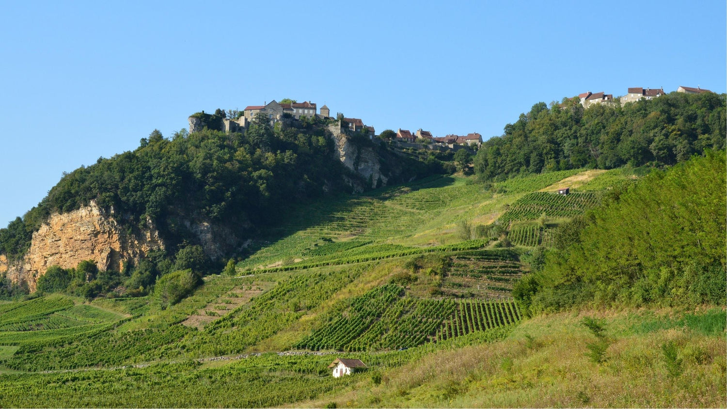 Terraced vineyards climbing a steep hillside beneath a medieval village perched on limestone cliffs, Château Beauchêne, Rhône Valley, France