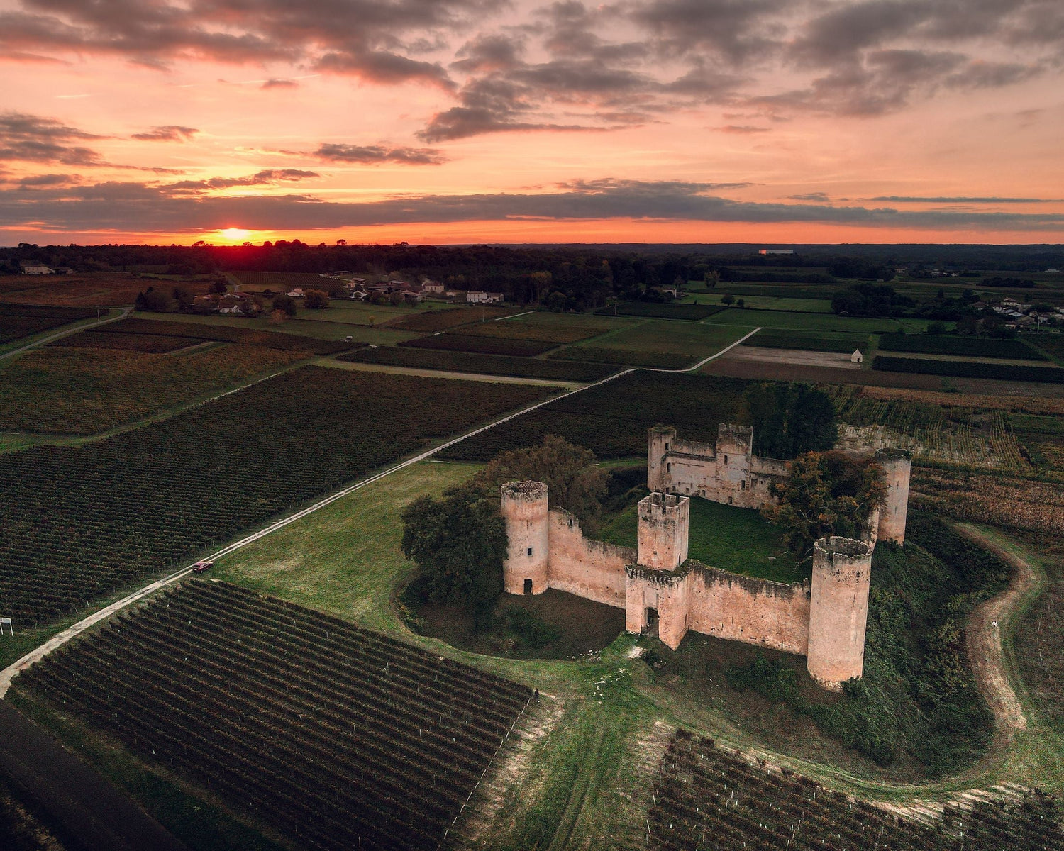 Aerial view of a medieval castle with round towers encircled by autumn vineyard rows at sunset, Château Bouscassé, Madiran, south-west France